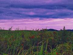 찰나의 순간 사진