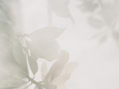 [도리벤] 정오의 유령