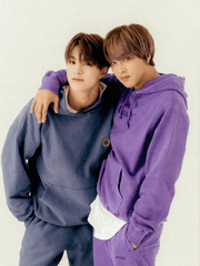 모르는 개 산책