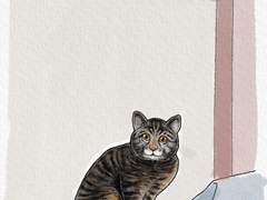 [길냥이 그리기 챌린지] 027 포동포동한 고등어 무늬