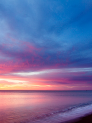 다 카포 알 피네