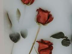 1장.황금새벽회