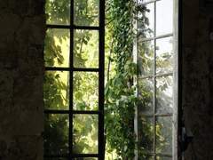 그 여름의 집에는 당신이 있었다