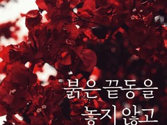 붉은 끝동을 놓지 않고_1화