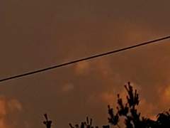 나카무라 아사히 공개프로필