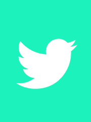 트위터 그림, 사진 모음