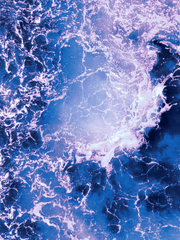 𝕆𝕎𝔼ℕ 𝕊.𝕃. 𝔽𝔼ℝ𝕋𝔼𝕌𝕊