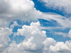 [최 하은 / 21 / Xx]