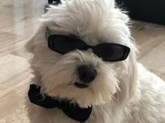 엔시티나페스추천_09