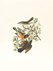 파트너와 여는 축제를!