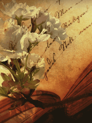 [IF] 만약이라는 이름.