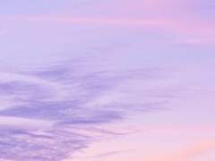 커미션 하는 하루