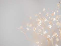 [아야노 소요카 / 17세]