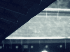 [카슈사니] 그 날.