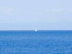 바람이 몹시 분다. 오늘은 바람이 너무 불어서...