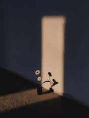 나를威力하는것들은저마다의悲哀가있었으니