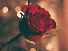 Save the last dance for me