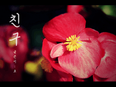 [미진수현] 친구