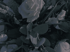 「광光과 광狂 사이 위태한 권태」