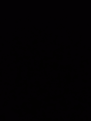 진실의 천사가 거짓을 말하기를