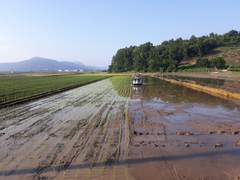 ◎ 새 둥지를 잡는 날!