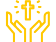 하루살이의 일생