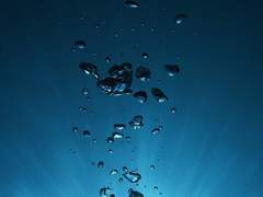 인어의 키스는 전생을 떠올리게 한다.