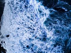 윤신은 눈치가 빠르다