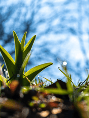 바람결에 불어온 파란