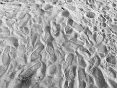 바다를 사랑했던 소년