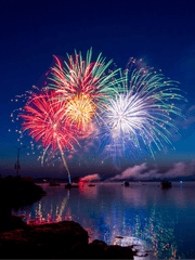 밤하늘의 정원사