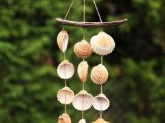 바다의 꽃/이도은