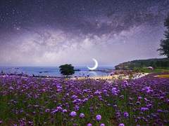 [뷔진] Psychedelic Moon (싸이키델릭문) 09