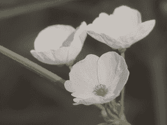 사망로그. 당신들에게