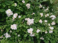 [귤경] 여름과 작열과 하루 - 2