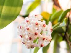 약속을 지키기 위해서?