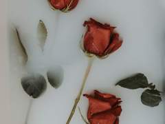 1장.황금새벽회