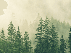 원작 내 도위소병 등장 회차 모음