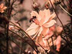 [이설소소] 사랑의 정의