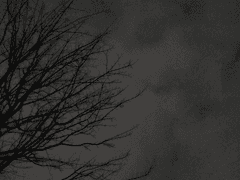 <공지사항>휴재 안내