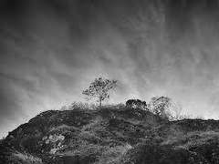 [ 잠뜰 tv / 미수반 × 수이플 ] 도움닫기