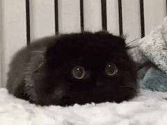 사랑은 방울방울 D