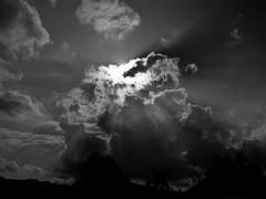 Davanti agli angeli, davanti alla luce.