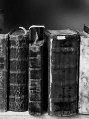 𝔻𝕦𝕤𝕥𝕪 𝔻𝕚𝕒𝕣𝕚𝕖𝕤