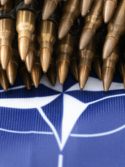 캐릭터들 티엠아이