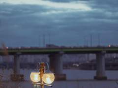 솔부 극점의 콘체르토