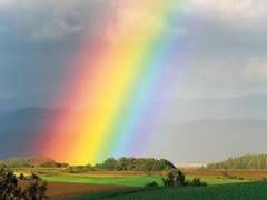 눈을 감아도 보이는 무지개