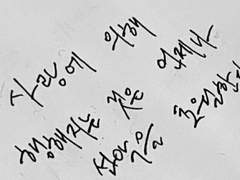 요리 잘 하세요?