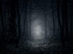 나의 모든 달콤한 것들을 위하여!