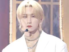 MX | 수인 취향 고르기 [바보 초딩 고양이 VS. 수컷 성체 늑대]